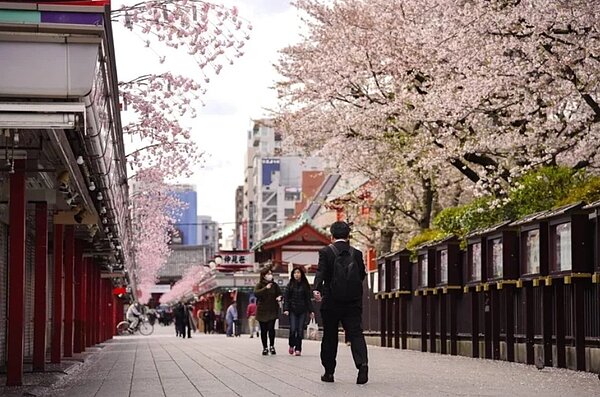 國泰世華銀行CUBE卡於即日起至4月30日推出首檔快閃權益「日本賞」,回饋通路橫跨海內外,滿足哈日族的消費需求。圖/國泰世華銀行提供