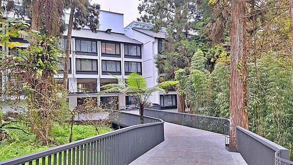 溪頭森林遊樂區+溪頭福華3