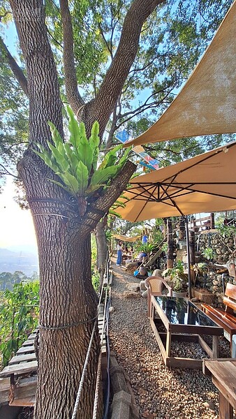 鯉魚潭水庫+壢西坪3