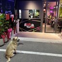 派不起來了…曾被批「狗都不吃」　超派炸雞新竹巨城店宣布營業至3/31