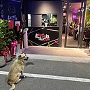 派不起來了…曾被批「狗都不吃」　超派炸雞新竹巨城店宣布營業至3/31