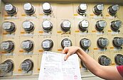 綠電倍增　用500度電價年多逾700元
