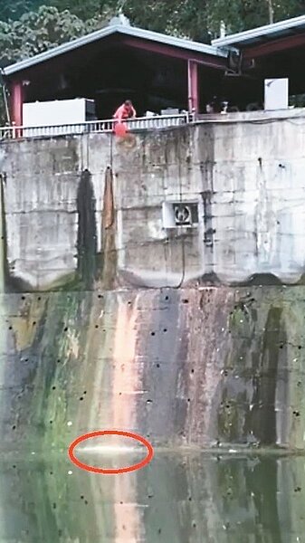 南投中寮石龍宮有「泡麵土地公廟」之稱,民眾拍到,有人將麵渣倒進溪中;縣府表示將稽查並開罰。圖/取自「爆料公社」影片