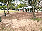 活動頻繁　竹北水圳公園草皮嚴重受損又枯黃
