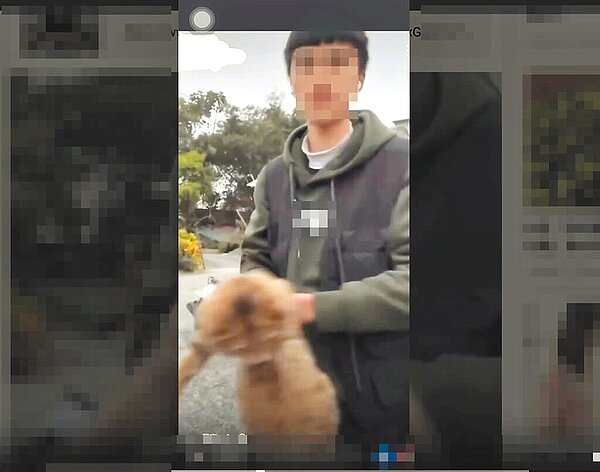 花蓮體中學生日前去玉里鎮比賽,竟學台北補教老師摔貓實驗,將民宿業者飼養的貓拋向空中,還錄影分享在網路上,令不少網友感到相當憤怒。(摘自網路平台「爆料公社」/羅亦晽花蓮傳真)