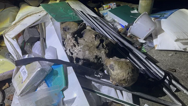 三峽警方12日晚受理一件溶屍案,經調查原來是懸疑推理電視劇所使用的道具,化解一場虛驚。記者曾伯愷/翻攝