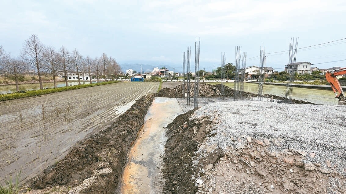 江姓青農農田旁有農舍工程施工，土方、水泥入侵，破壞近半長度的田埂與5、6排秧苗。記者陳敬丰／攝影 