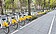增車＋大數據　YouBike無車可借不減反升