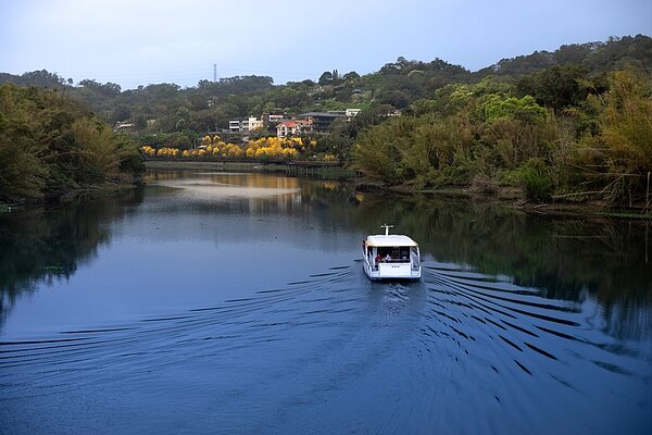 暢遊峨眉湖，欣賞黃花風鈴木。（圖／參山處提供）
