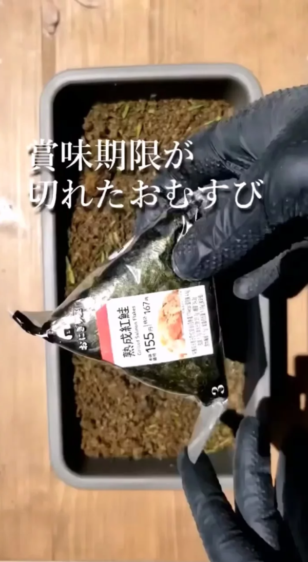 日本YouTuber實驗將飯糰埋進土裡一個月會怎樣，結果發現內餡竟然完好如初。圖擷自turikipp YouTube頻道