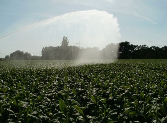 ▼何世昌認為,南科帶動區域發展,讓不少農夫一夕間變成田喬仔。(示意圖/pixabay)