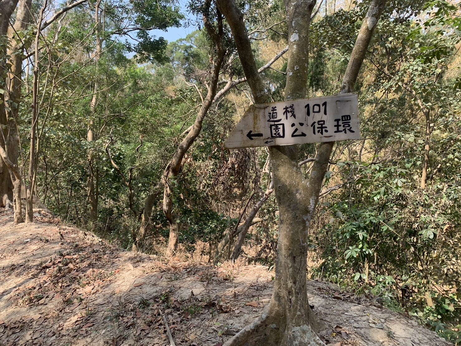 民眾抱怨觀音山山區內路線眾多，指示牌數量少且老舊，許多山友乾脆自製路牌，造成當地路牌雜亂、破敗不堪，每年都有人上山失蹤迷路。記者宋原彰／攝影 