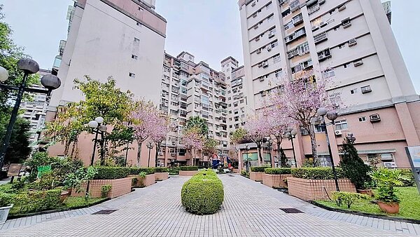 興隆路二段羊蹄甲美景