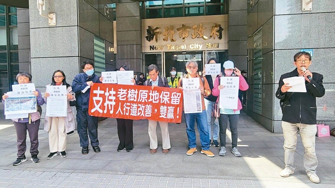 新店青潭國小6棵麵包樹是否移植引發討論,護樹團體批等了8個月補件3次,遲未見麵包樹案排入樹木保護委員會審查。記者江婉儀/攝影