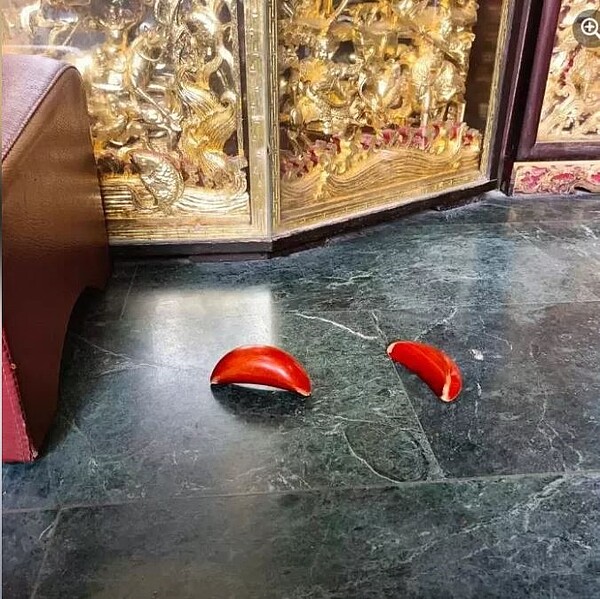 擁有百年歷史的木柵集應廟今天首度有信徒擲筊時,擲出建廟130年以來第一次見到的「立筊」。圖/引用自木柵集應廟臉書