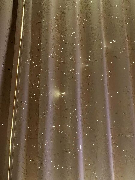 由於家中有貓,意外讓網友家裡本來好好的窗簾成為了星空窗簾。取自臉書社團《我與街貓的距離》