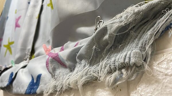 貼文吸引不少網友分享自家的慘況。取自臉書社團《我與街貓的距離》