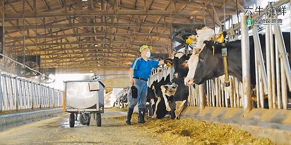 面對2025年紐西蘭進口液態奶全面降為零關稅,恐衝擊本土酪農產業,民代要求政府制定相關辦法與對策,以保障本土酪農權益。圖/陳右欣提供