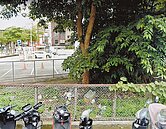 板橋6億閒置地　北市將配合都更開發