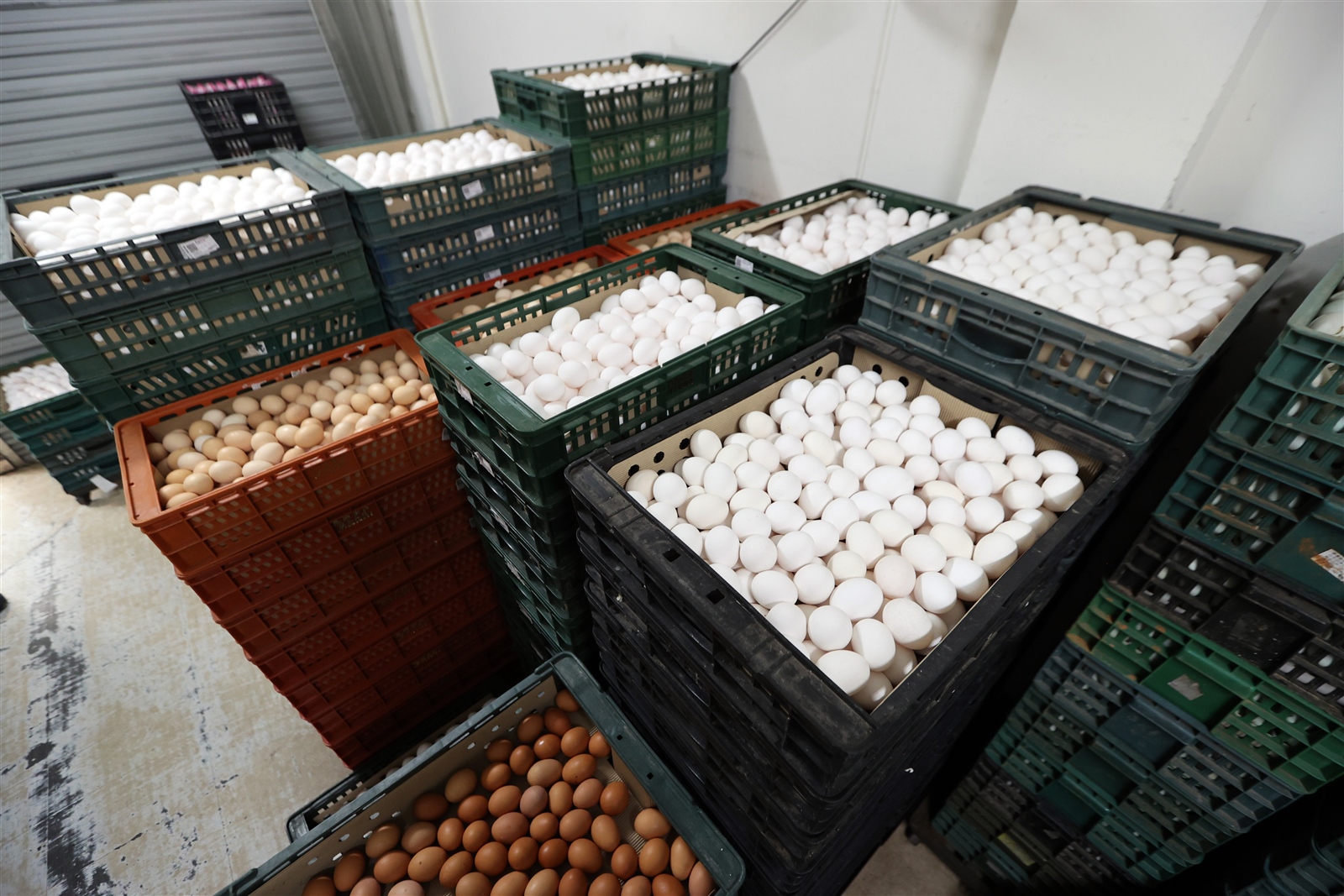 台北市蛋商公會昨天開會決議，本周蛋價凍漲維持高點。記者劉學聖／攝影 