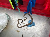 晚上吹口哨會跑出蛇、室內戴帽會變禿頭…這些「家庭迷信」你都聽過嗎？