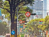 燈號不連貫　10分鐘車程得花20分