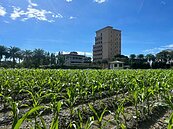 綠指傅崐萁家農地違法…藍：舊飯新炒　縣府：已查辦