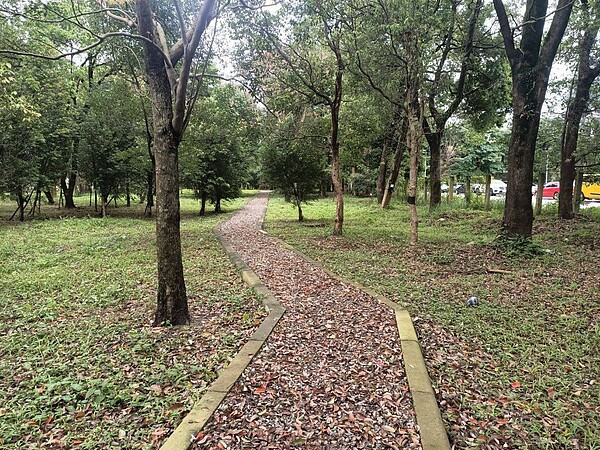 新北市教育局表示,針對文小11用地會審慎評估用途,教育局將持續觀察學齡人口變化,以符合在地教育需求。圖/新北市教育局提供