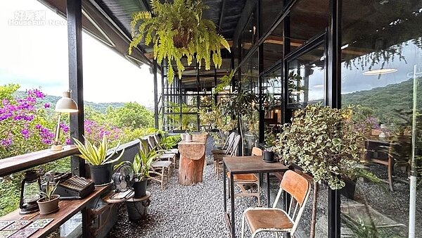 台北野人花園02