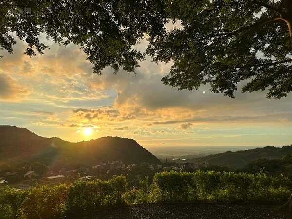 台南山裏PlantVibes05