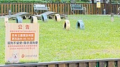 新北15區設22座寵物公園　2大問題最難解