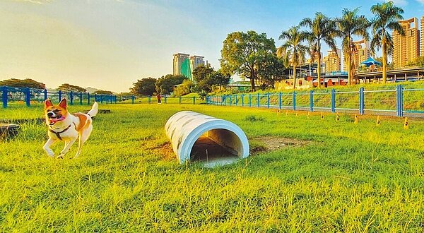 國民黨新北市議員陳儀君認為,新店區只有碧潭東岸親情河濱公園有規畫寵物空間,已無法滿足寵物飼養家庭需求,爭取在央北重劃區的樹木銀行設置第二座寵物友善公園。圖/新北市高灘處提供