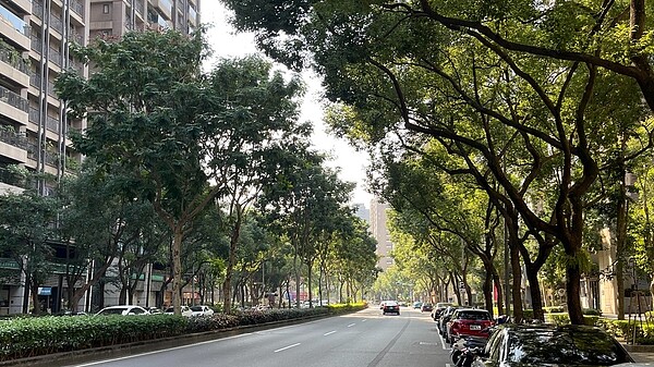 全台最宜居重劃區?網點名它:媲美民生社區 三峽北大特區街景。圖/翻攝自PTT