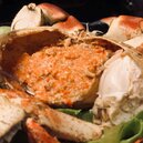秋天就是要吃蟹！高雄異國鮮味大比拼　西班牙私廚讓你秒成「蟹膏富翁」