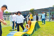 嘉市打造西區寵物公園　6地點評選