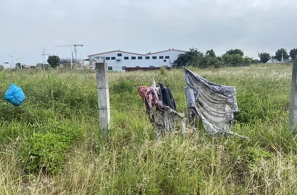 台中市重劃區雜草叢生，議員籲加強管理。圖／曾朝榮提供
