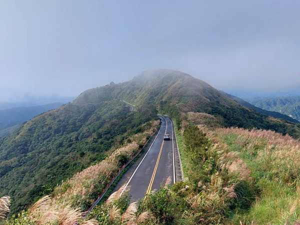 登上不厭亭瞭望山路兩側搖曳芒花,怎麼拍都美。圖/觀光旅遊局提供