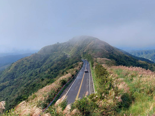 登上不厭亭瞭望山路兩側搖曳芒花，怎麼拍都美。圖／觀光旅遊局提供