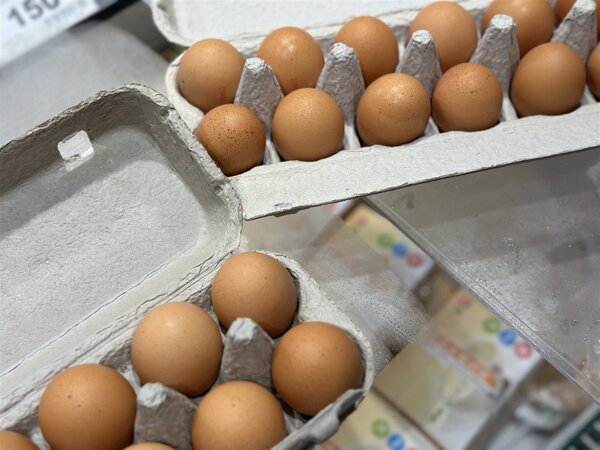 農業部表示，目前國內的雞蛋生產量平均每天為12萬箱(每箱約200顆)、2400萬顆，已經可以供應國內消費者的需求，因此在合約架構下，雙方談好，在國內沒有缺口的情況下，就不要再進口；未來若有需求，由業者自行進口。圖為進口雞蛋示意圖。圖／聯合報資料照片 