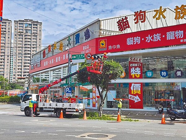 部分私人土地種植樹木遮擋照明設備或侵入電力設施，恐引發公安意外。景觀處表示，每年防汛期前，景觀處及區公所皆會巡視及修剪，若接獲民眾通報生長過於茂盛或有公安疑慮的路樹，也會及時修剪。圖／新北市景觀處提供