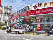 私地種樹竄電線恐釀禍　新北民代籲擬定規範