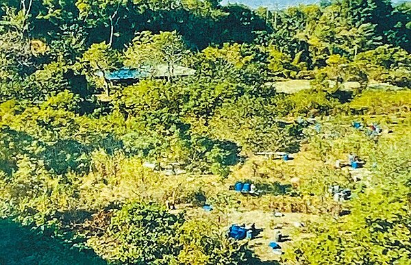 彰化市公所於彰化市東外環道的八卦山脈一帶找到1塊合適興建流浪狗收容所的土地,該地產權屬於彰化銀行。圖/民眾提供