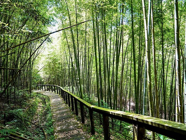 孝子路步道。圖／嘉義縣文觀局提供