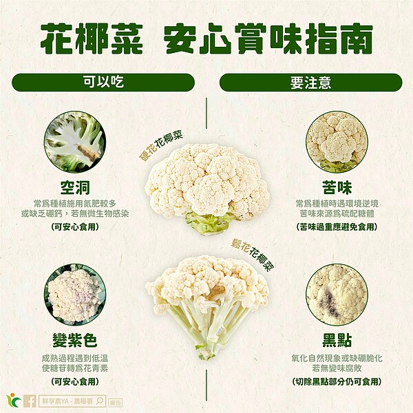 農糧署分享花椰菜安心賞味指南。圖/截自「鮮享農YA - 農糧署」臉書粉專