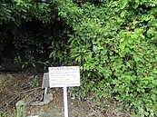 彰縣標售27標未釐清土地　縣府提醒此次占用情況多