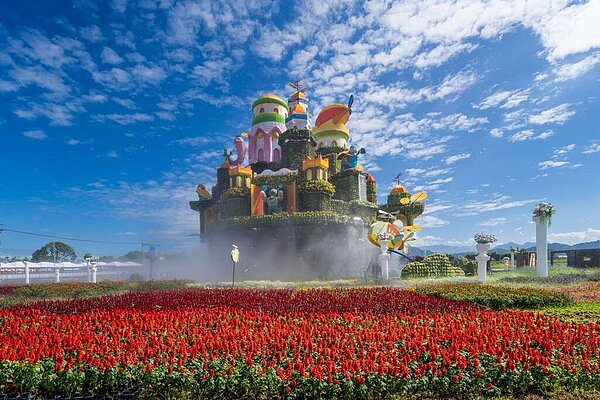 「新社花海暨台中國際花毯節」於11月11日登場,吸引大批人潮。圖/台中市政府提供