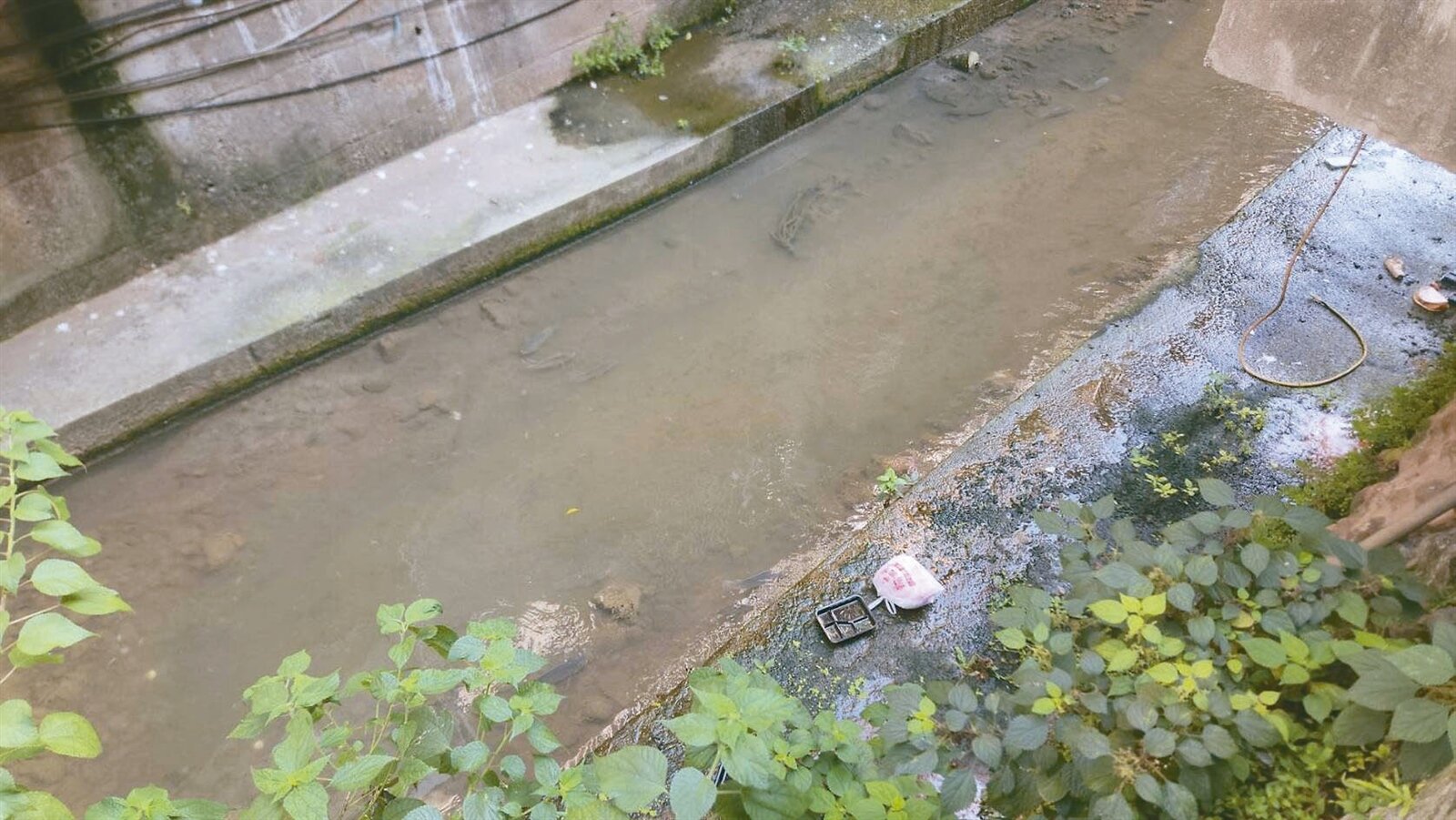 流經新北淡水鬧區的庄子內溝溪近期飄散惡臭,市府將加強清理及稽查。記者李成蔭/攝影