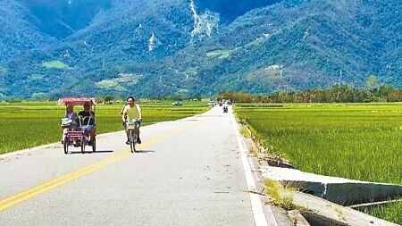 
台東池上鄉伯朗大道開放以人力為主、電力為輔的慢車進入旅遊。（蕭嘉蕙攝）
