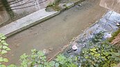 淡水庄子內溝溪惡臭　加強監控