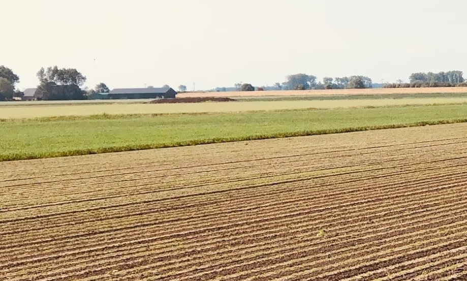 ▼不符課徵田賦者,應改課地價稅。(示意圖/unsplash)